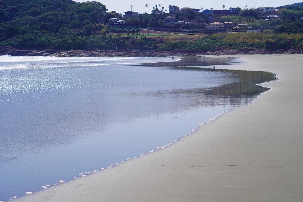 金ヶ浜