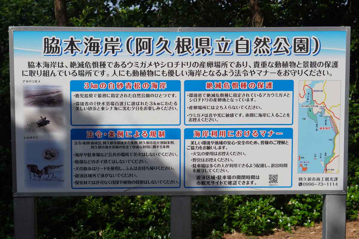 脇本