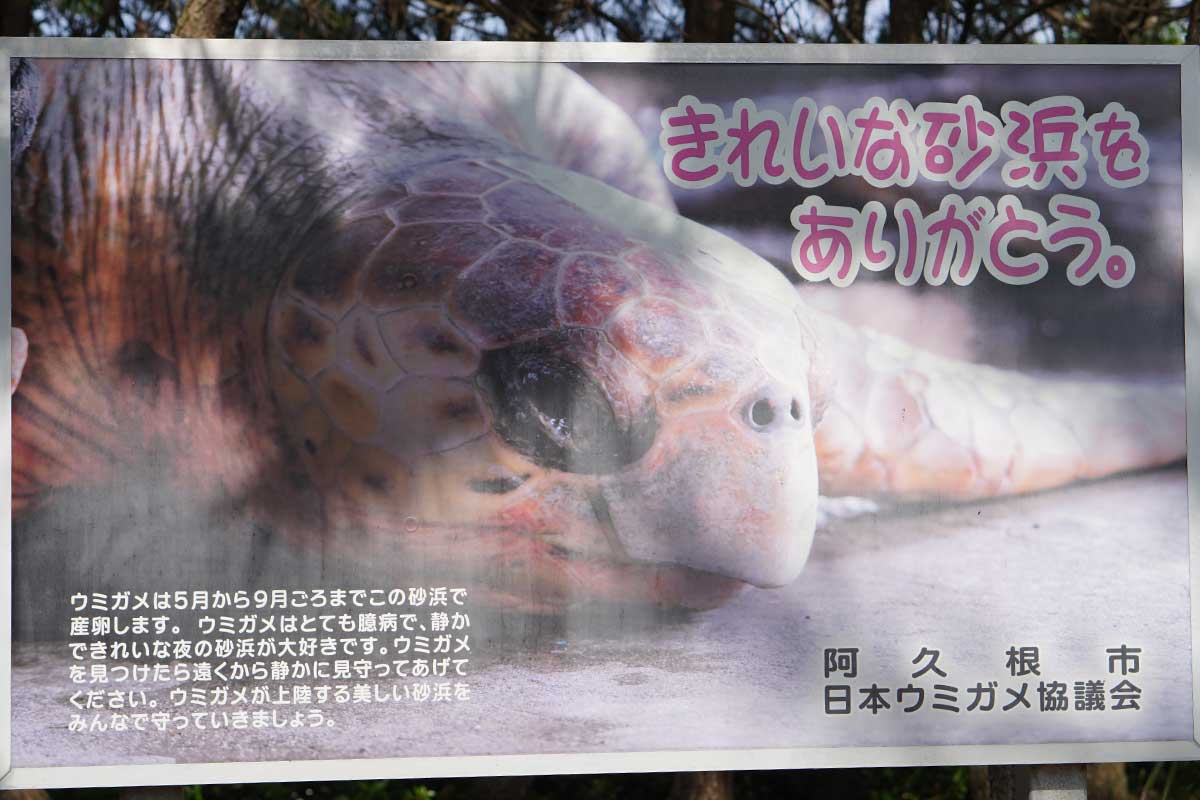 脇本