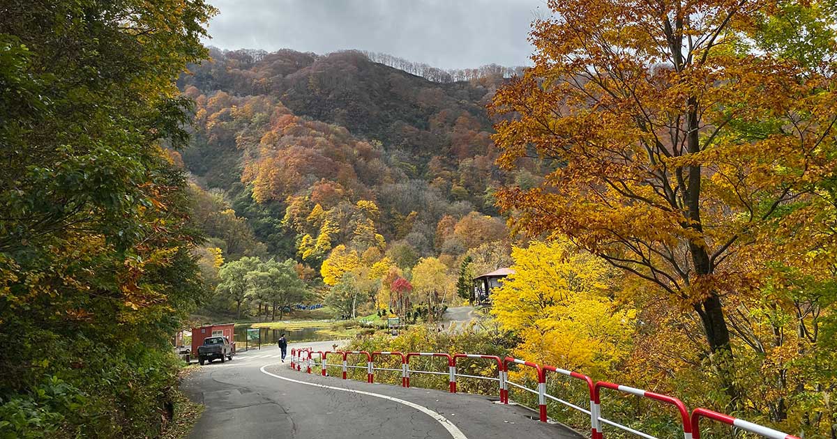 新潟県