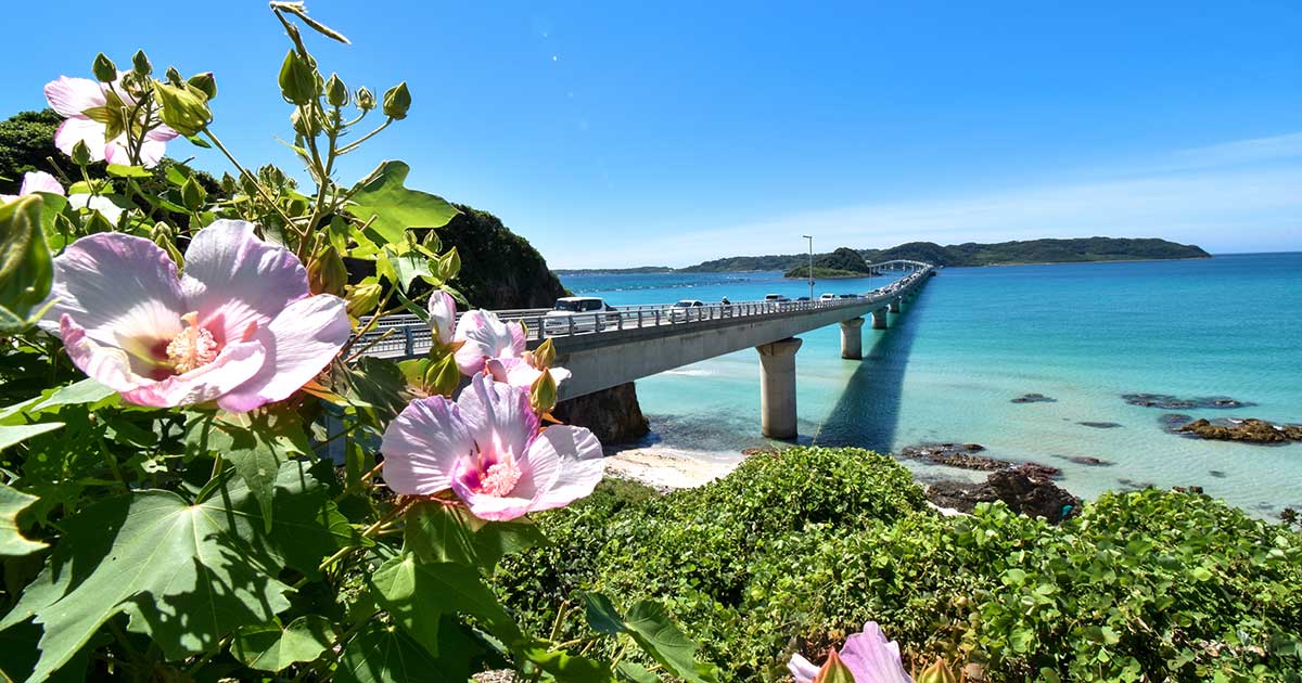 山口県